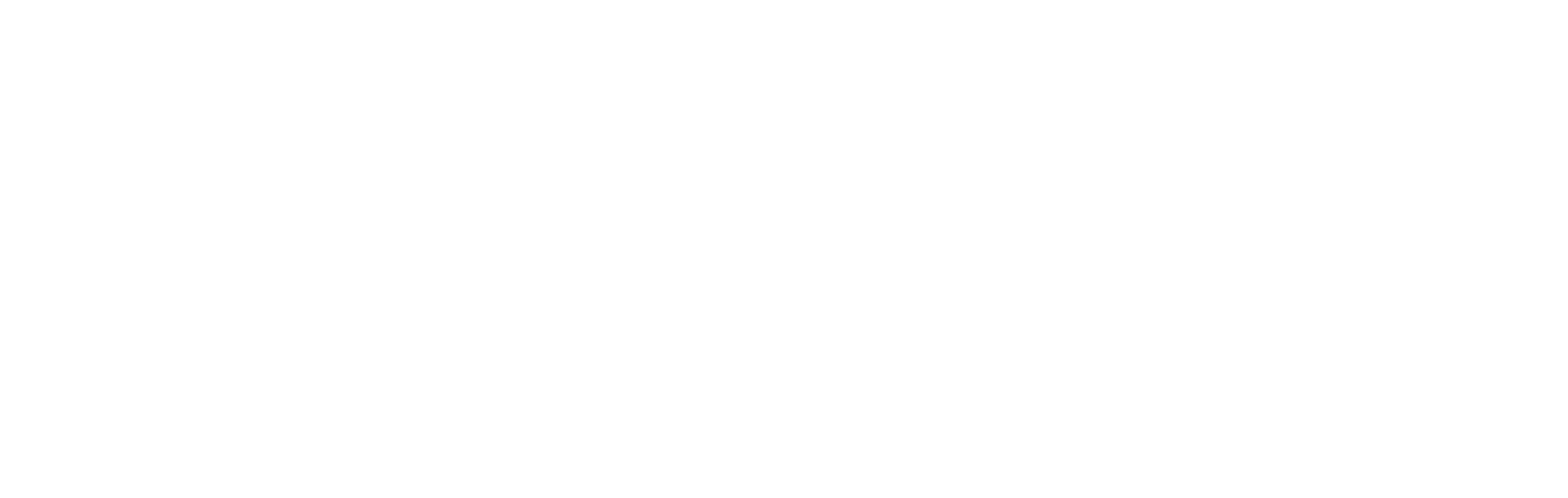 The Health Plan (THP)
